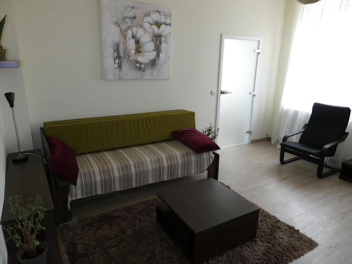 Apartman Marenka Nove Mesto na Morave Exterior photo